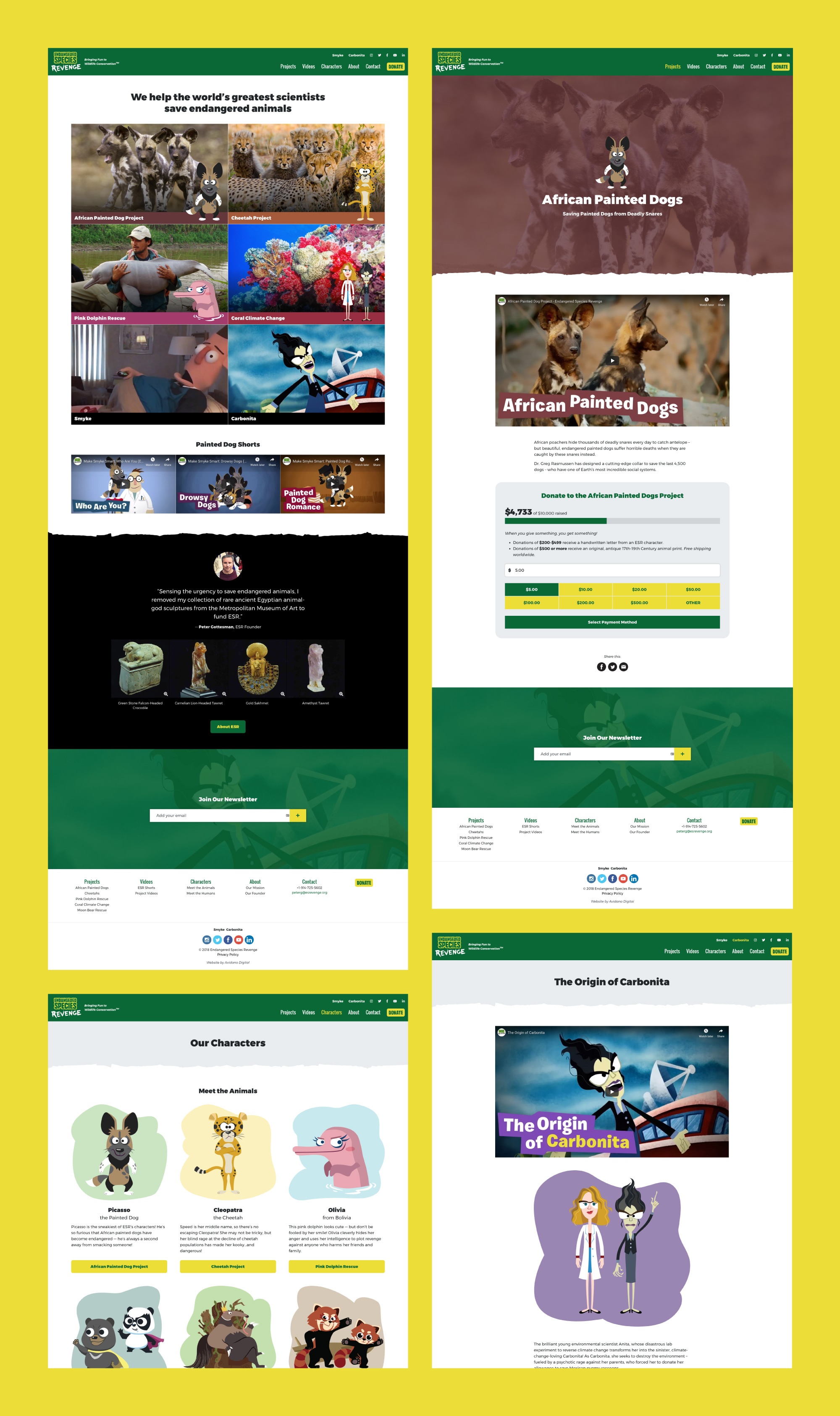 Depiction of several ESR website layouts